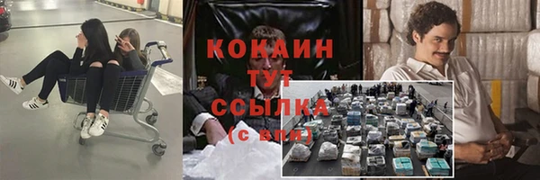PSILOCYBIN Касимов